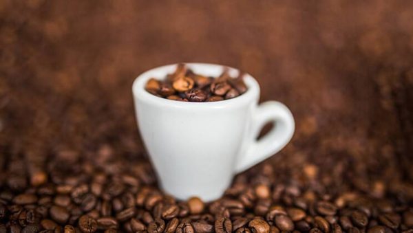 Setting up your own coffee shop