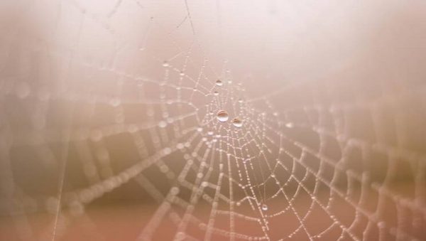 get a website