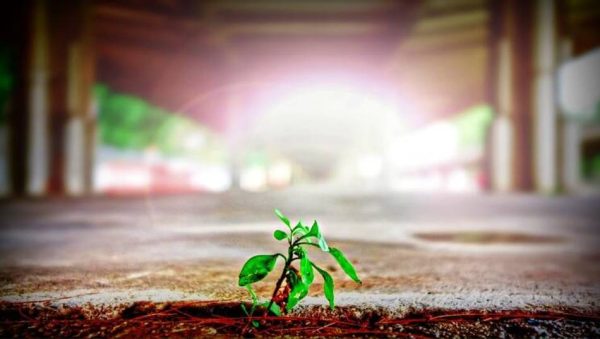 grow your business